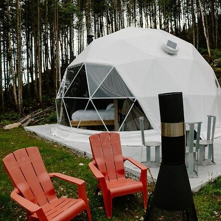 Les Diamants De L'Eternel Apartman Saint-David-de-Falardeau Kültér fotó