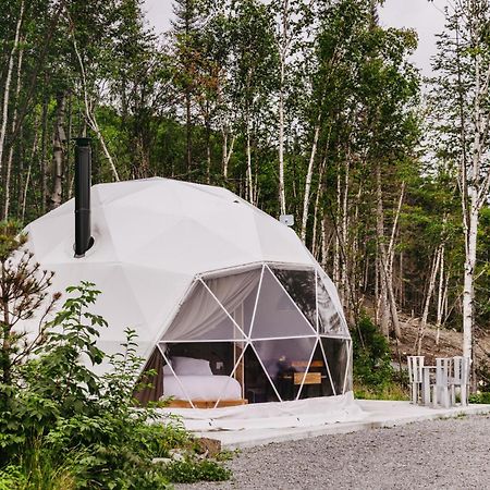 Les Diamants De L'Eternel Apartman Saint-David-de-Falardeau Kültér fotó